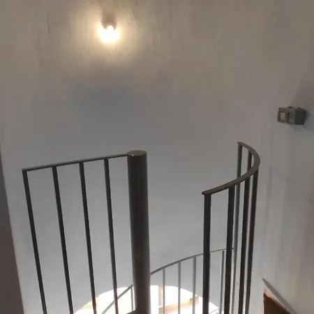 Atico Alba * أوروبيسا ذيل مار