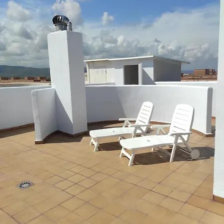 Atico Alba أوروبيسا ذيل مار